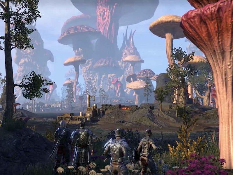 Elder Scrolls III: Morrowind Giant Mushrooms
