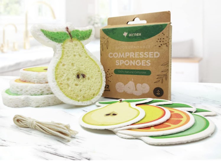 AIRNEX Biodegradable Compressed Sponges (12-Pack)